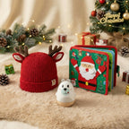 Weihnachtszauberpaket